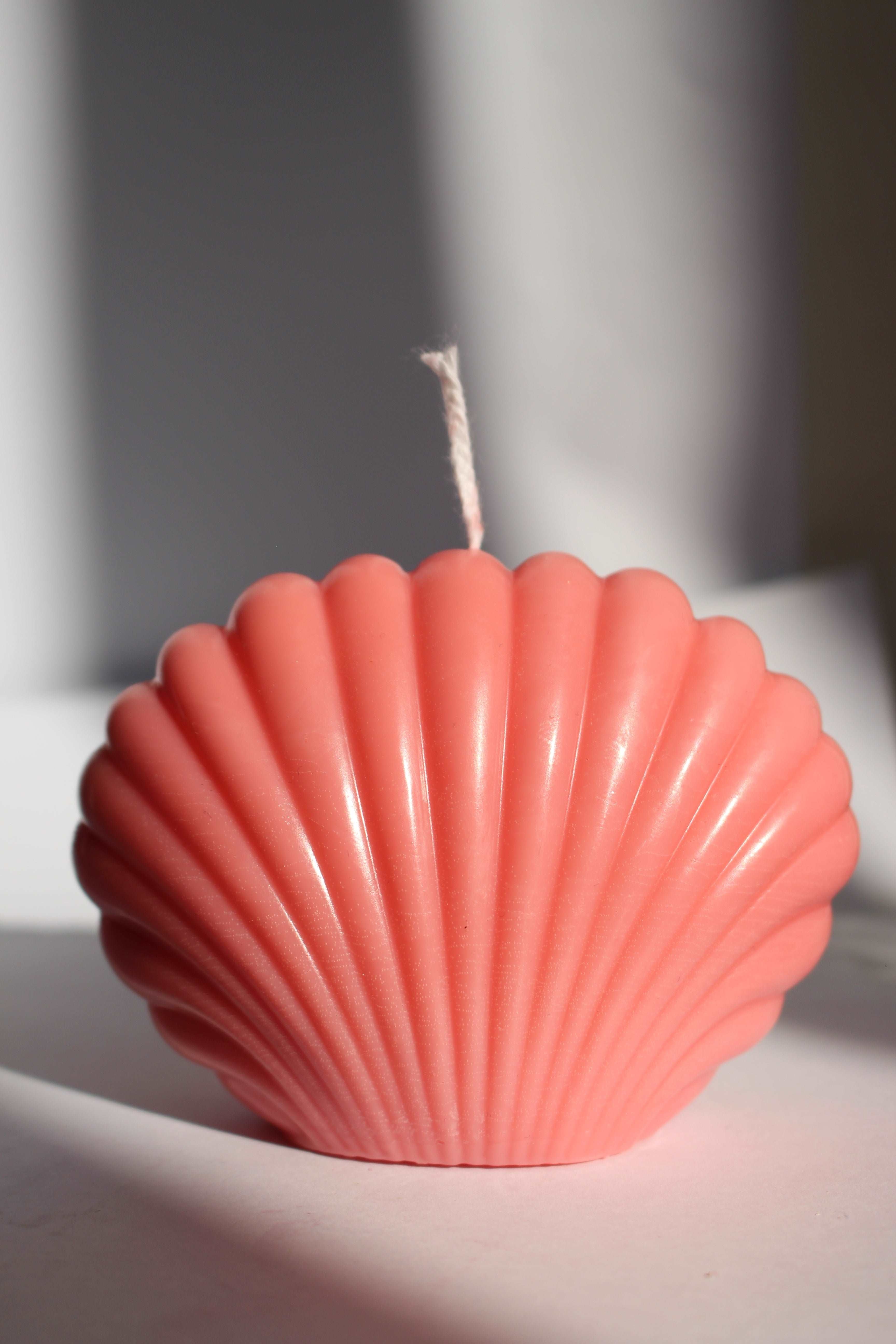 SeaShell Candle - ApiCares