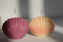 SeaShell Candle - ApiCares